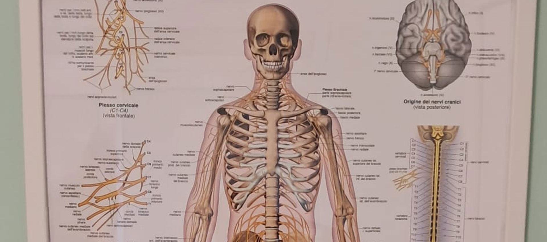 Rieducazione Neurologia